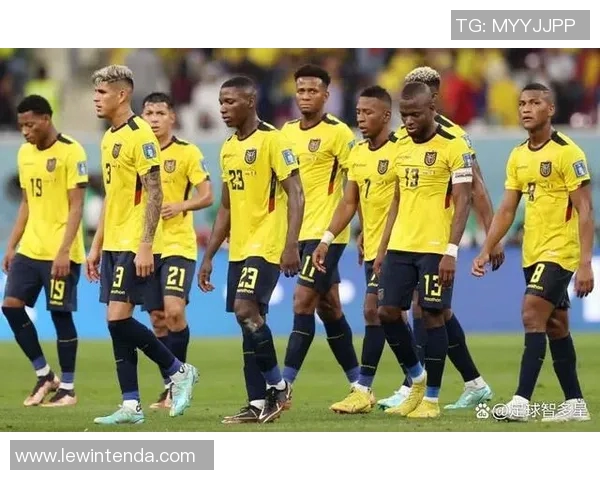 厄瓜多尔国家队足球明星的辉煌历程与成就解析